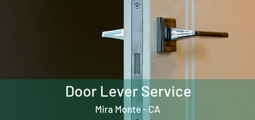  Door Lever Service Mira Monte - CA
