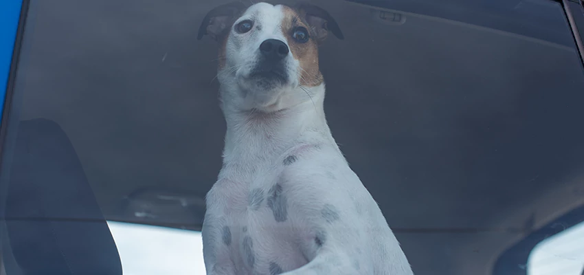 Car Lockout Solutions in Mira Monte, California